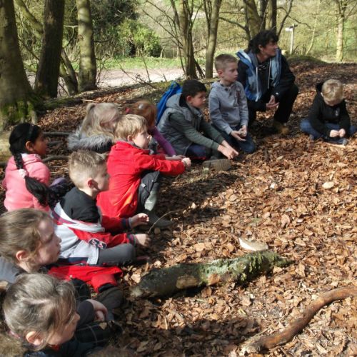 QE Country Park 021